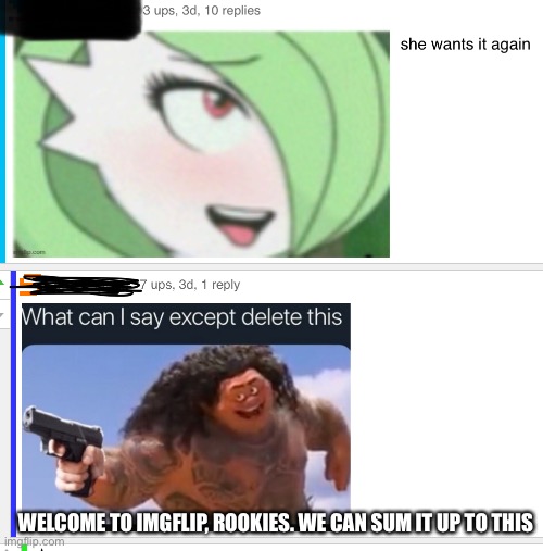 WELCOME TO IMGFLIP, ROOKIES. WE CAN SUM IT UP TO THIS | image tagged in wtf | made w/ Imgflip meme maker