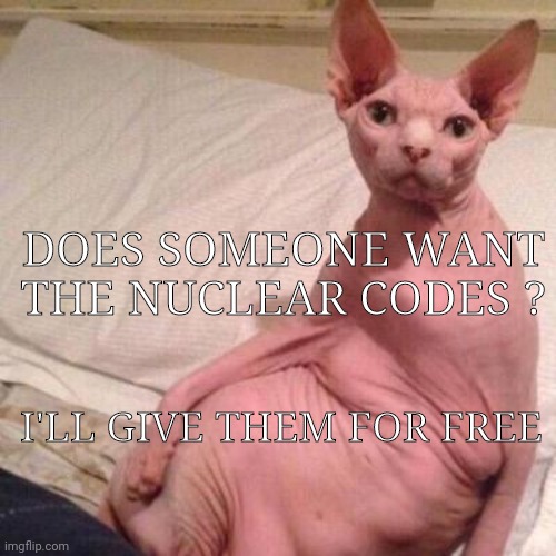 cat naked | DOES SOMEONE WANT THE NUCLEAR CODES ? I'LL GIVE THEM FOR FREE | image tagged in cat naked | made w/ Imgflip meme maker