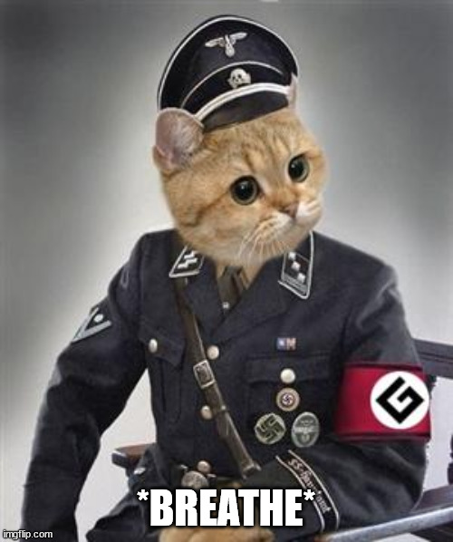 Grammar Nazi Cat | *BREATHE* | image tagged in grammar nazi cat | made w/ Imgflip meme maker
