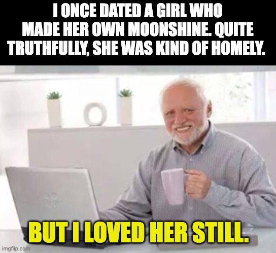 Still | I ONCE DATED A GIRL WHO MADE HER OWN MOONSHINE. QUITE TRUTHFULLY, SHE WAS KIND OF HOMELY. BUT I LOVED HER STILL. | image tagged in harold | made w/ Imgflip meme maker