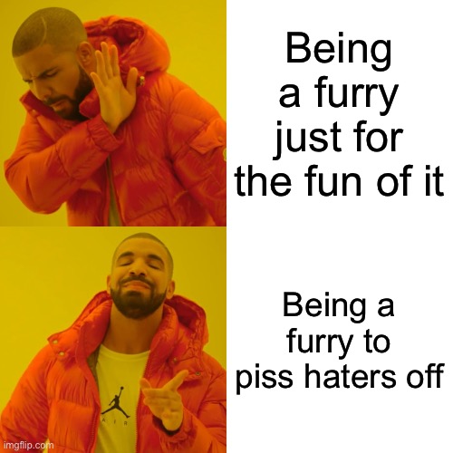 Furry meme | Being a furry just for the fun of it; Being a furry to piss haters off | image tagged in memes,drake hotline bling | made w/ Imgflip meme maker