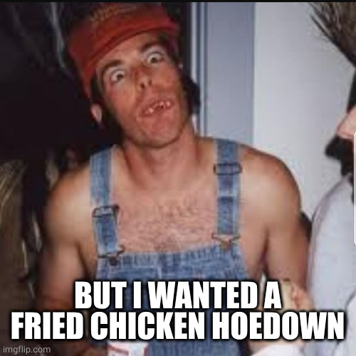 Hick | BUT I WANTED A FRIED CHICKEN HOEDOWN | image tagged in hick | made w/ Imgflip meme maker