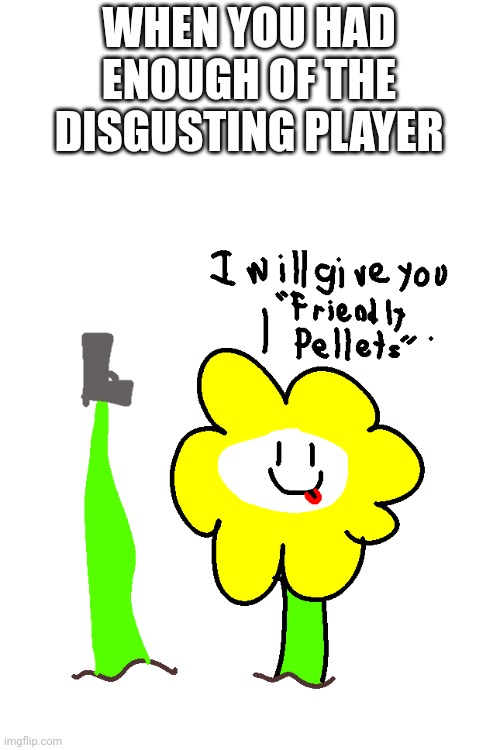 Flowey has enough | WHEN YOU HAD ENOUGH OF THE DISGUSTING PLAYER | image tagged in flowey has enough | made w/ Imgflip meme maker