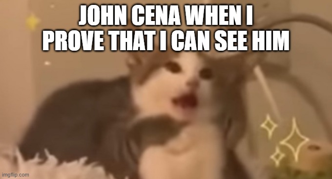 Surprised Cat | JOHN CENA WHEN I PROVE THAT I CAN SEE HIM | image tagged in surprised cat | made w/ Imgflip meme maker