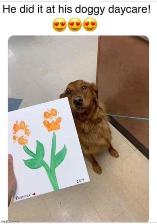 Awww look how proud ??? | image tagged in wholesome,memes,funny | made w/ Imgflip meme maker