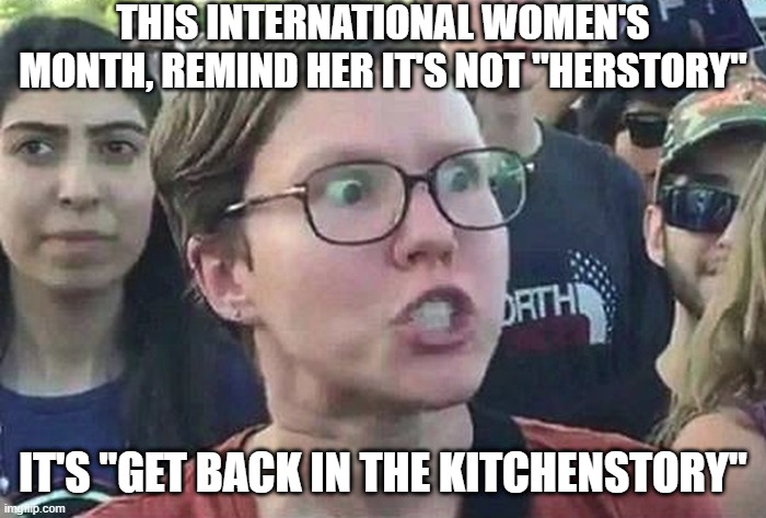 Women's Month | THIS INTERNATIONAL WOMEN'S MONTH, REMIND HER IT'S NOT "HERSTORY"; IT'S "GET BACK IN THE KITCHENSTORY" | image tagged in triggered liberal | made w/ Imgflip meme maker