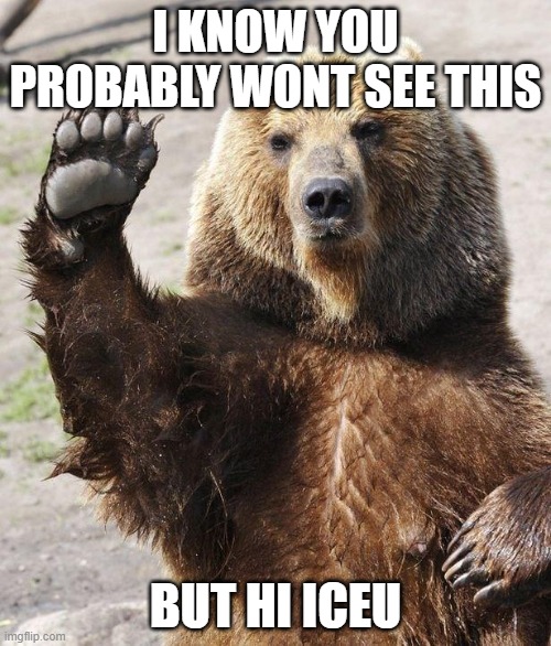 Hello bear | I KNOW YOU PROBABLY WONT SEE THIS; BUT HI ICEU | image tagged in hello bear | made w/ Imgflip meme maker