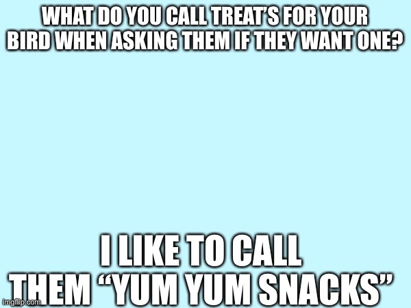 WHAT DO YOU CALL TREAT’S FOR YOUR BIRD WHEN ASKING THEM IF THEY WANT ONE? I LIKE TO CALL THEM “YUM YUM SNACKS” | made w/ Imgflip meme maker