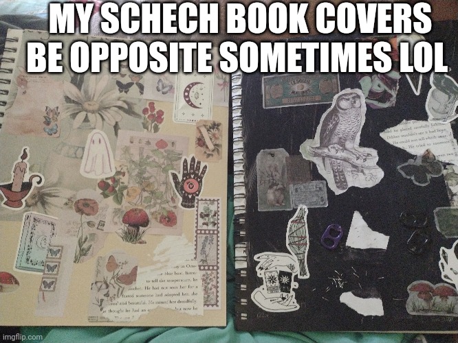 They be opposite | MY SCHECH BOOK COVERS BE OPPOSITE SOMETIMES LOL | image tagged in opposite,drawings | made w/ Imgflip meme maker