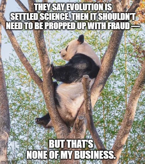 Evolution and fraud, none of my business | THEY SAY EVOLUTION IS SETTLED SCIENCE. THEN IT SHOULDN'T NEED TO BE PROPPED UP WITH FRAUD —; BUT THAT'S NONE OF MY BUSINESS. | image tagged in none of my business panda | made w/ Imgflip meme maker