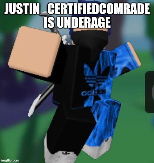 MR BEEEEEAAAAAA | JUSTIN_CERTIFIEDCOMRADE IS UNDERAGE | image tagged in mr beeeeeaaaaaa | made w/ Imgflip meme maker