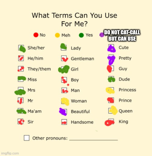 My pronouns sheet | DO NOT CAT-CALL BUT CAN USE | image tagged in pronouns sheet,lgbtq,lgbt | made w/ Imgflip meme maker