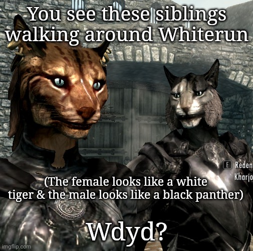 This will be in memechat | You see these siblings walking around Whiterun; (The female looks like a white tiger & the male looks like a black panther); Wdyd? | image tagged in khajiit dragonborn,roleplaying | made w/ Imgflip meme maker