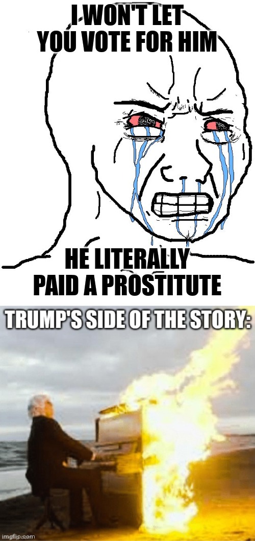 I guess I'll vote for a prisoner. ? | I WON'T LET YOU VOTE FOR HIM; HE LITERALLY PAID A PROSTITUTE | image tagged in crying npc,playing flaming piano | made w/ Imgflip meme maker