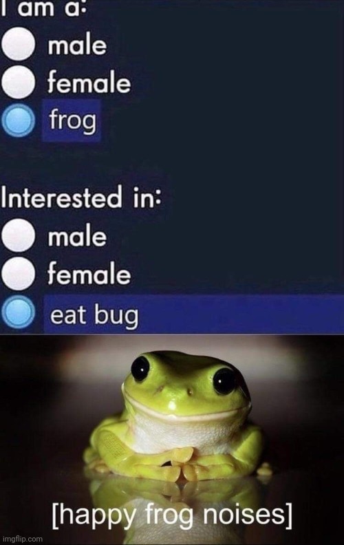 Frog | made w/ Imgflip meme maker