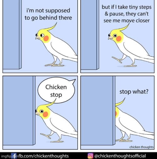 Birb comic: tiny steps | image tagged in birb,comics | made w/ Imgflip meme maker