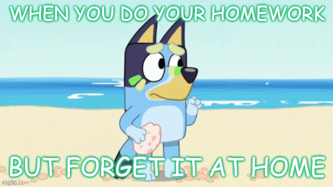 Bluey Homework Meme | WHEN YOU DO YOUR HOMEWORK; BUT FORGET IT AT HOME | image tagged in bluey | made w/ Imgflip meme maker