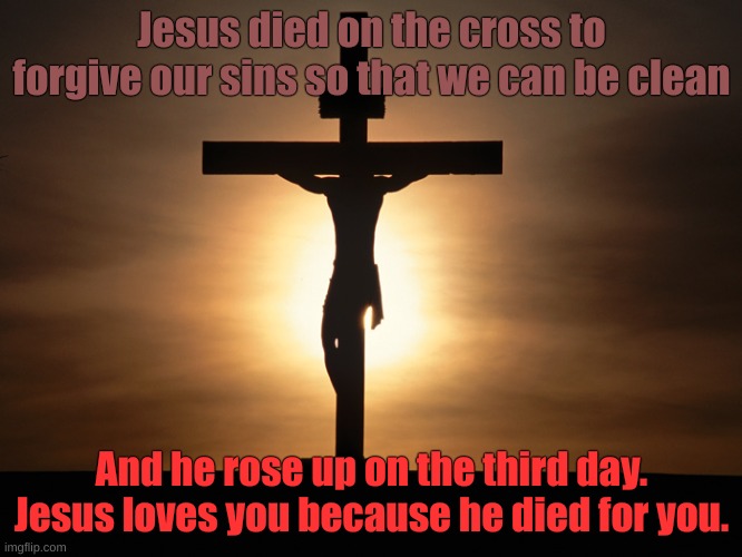 Jesus loves you no matter what. | Jesus died on the cross to forgive our sins so that we can be clean; And he rose up on the third day. Jesus loves you because he died for you. | image tagged in christian,jesus,god,sacrifice | made w/ Imgflip meme maker