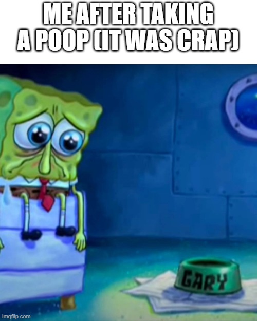 sad | ME AFTER TAKING A POOP (IT WAS CRAP) | image tagged in gary come home,memes,funny,meme | made w/ Imgflip meme maker