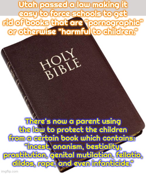 "He that sows the wind, shall reap whirlwind." | Utah passed a law making it easy to force schools to get rid of books that are "pornographic" or otherwise "harmful to children." There's no | image tagged in slavery bible,karma,christianity,homophobia | made w/ Imgflip meme maker