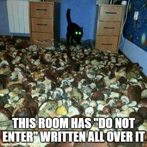 Room from Hell | THIS ROOM HAS "DO NOT ENTER" WRITTEN ALL OVER IT | image tagged in unsee juice | made w/ Imgflip meme maker