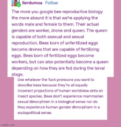 reminder to not choose biology if you don't know how to explain | made w/ Imgflip meme maker