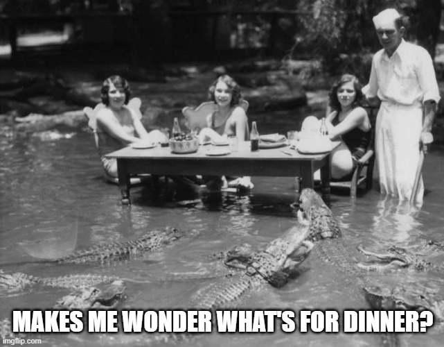 Humans or the Gators? | MAKES ME WONDER WHAT'S FOR DINNER? | image tagged in unsee juice | made w/ Imgflip meme maker