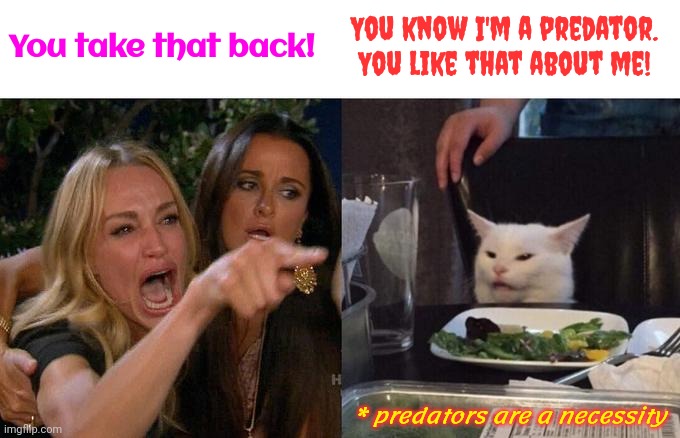 You Need A Predator To Catch A Predator | You know I'm a predator.  You like that about me! You take that back! * predators are a necessity | image tagged in memes,woman yelling at cat,predators,predator,warrior cats,to catch a predator | made w/ Imgflip meme maker