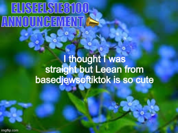 EliseElsie8100 Announcement | I thought I was straight but Leean from basedjewsoftiktok is so cute | image tagged in eliseelsie8100 announcement | made w/ Imgflip meme maker