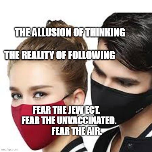 Mask Couple | THE ALLUSION OF THINKING                                              THE REALITY OF FOLLOWING; FEAR THE JEW ECT.    FEAR THE UNVACCINATED.            FEAR THE AIR. | image tagged in mask couple | made w/ Imgflip meme maker