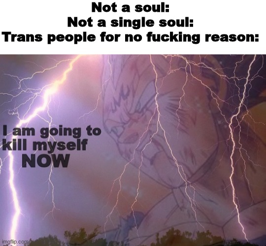haha | Not a soul:
Not a single soul:
Trans people for no fucking reason: | image tagged in i am going to kill myself,memes,shitpost,msmg,oh wow are you actually reading these tags,as you see i am joking | made w/ Imgflip meme maker