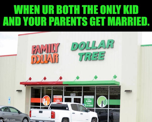 It's true | WHEN UR BOTH THE ONLY KID AND YOUR PARENTS GET MARRIED. | image tagged in dollar store,am i the only one around here,step brothers | made w/ Imgflip meme maker