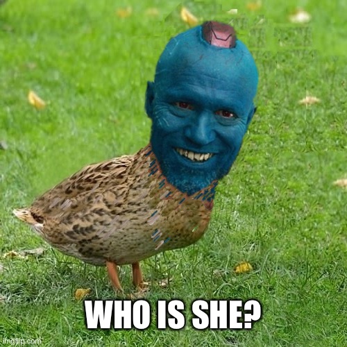 Ooga | WHO IS SHE? | image tagged in onduyay da ducksie | made w/ Imgflip meme maker