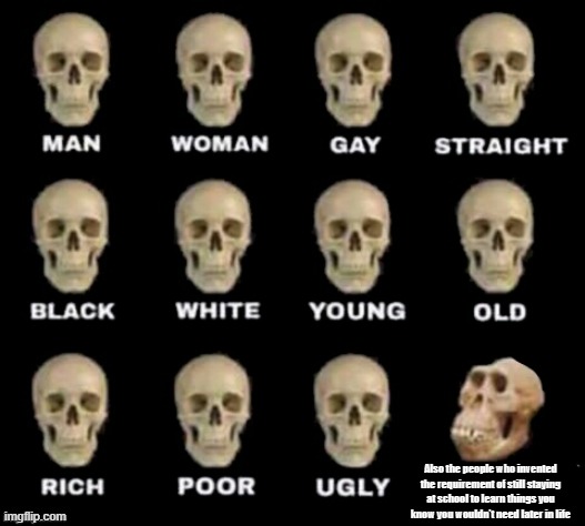 idiot skull | Also the people who invented the requirement of still staying at school to learn things you know you wouldn't need later in life | image tagged in idiot skull | made w/ Imgflip meme maker