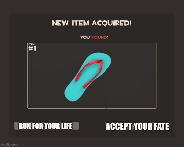 You got tf2 shit | RUN FOR YOUR LIFE ACCEPT YOUR FATE | image tagged in you got tf2 shit | made w/ Imgflip meme maker