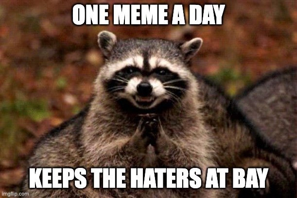 One meme a day | ONE MEME A DAY; KEEPS THE HATERS AT BAY | image tagged in evil raccoon blank | made w/ Imgflip meme maker