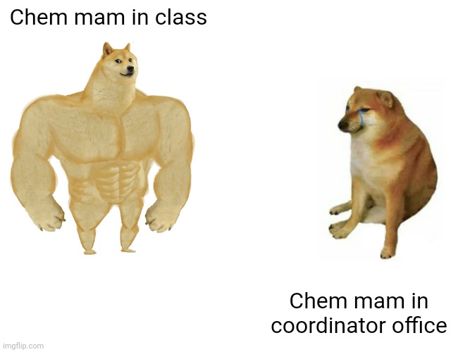 Buff Doge vs. Cheems Meme | Chem mam in class Chem mam in coordinator office | image tagged in memes,buff doge vs cheems | made w/ Imgflip meme maker