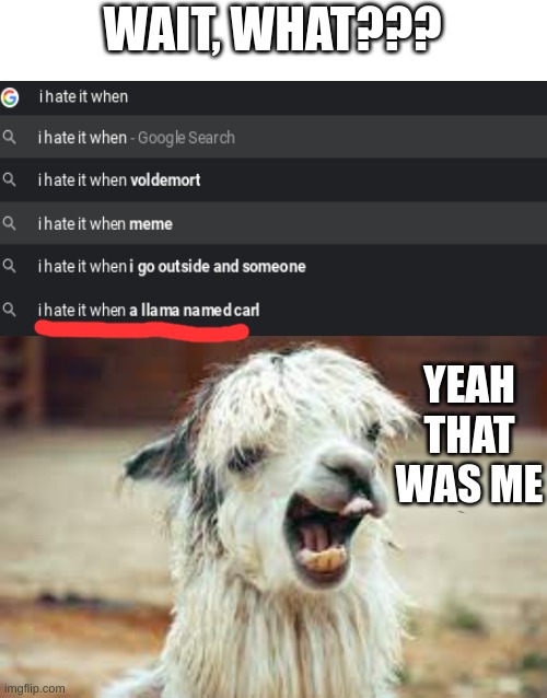 Am I Missing Something Here Imgflip