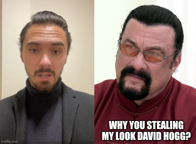 David Seagal. | WHY YOU STEALING MY LOOK DAVID HOGG? | image tagged in memes | made w/ Imgflip meme maker