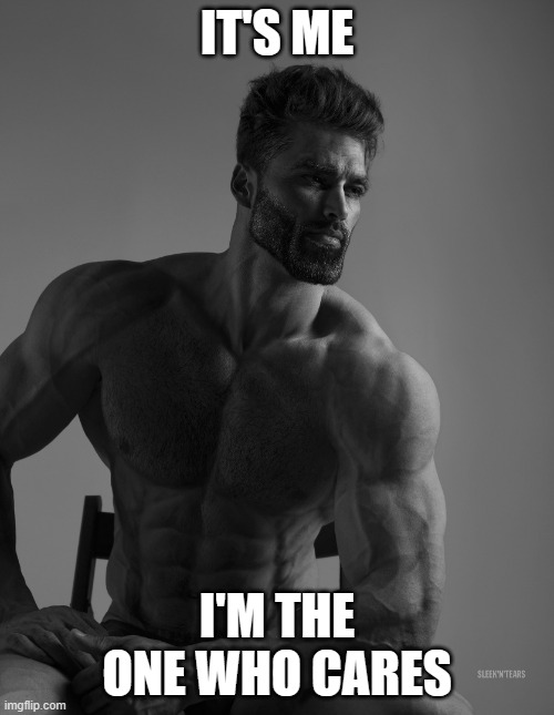I'm the one who cares. | IT'S ME; I'M THE ONE WHO CARES | image tagged in giga chad,who cares | made w/ Imgflip meme maker