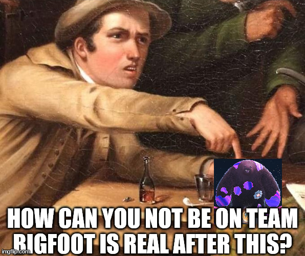 Mr Grizz = Bigfoot | HOW CAN YOU NOT BE ON TEAM BIGFOOT IS REAL AFTER THIS? | image tagged in angry man pointing at hand | made w/ Imgflip meme maker