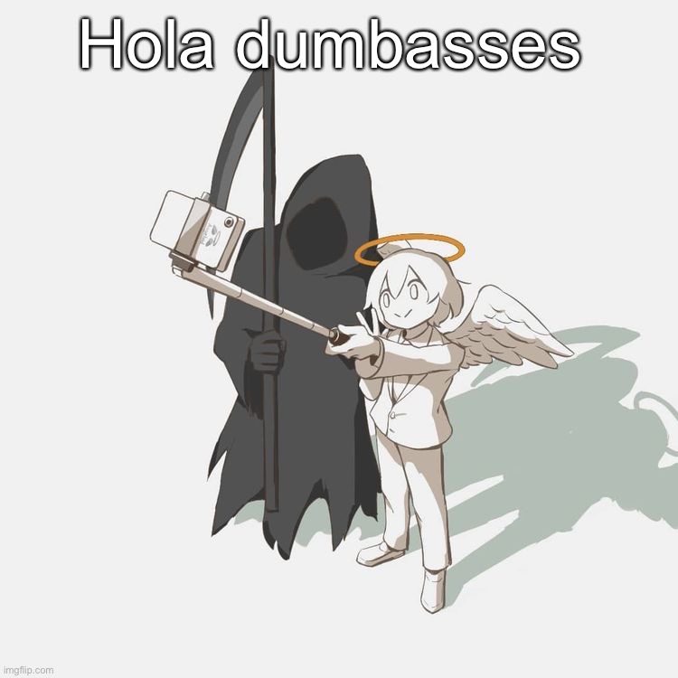 Avogado6 | Hola dumbasses | image tagged in avogado6 | made w/ Imgflip meme maker