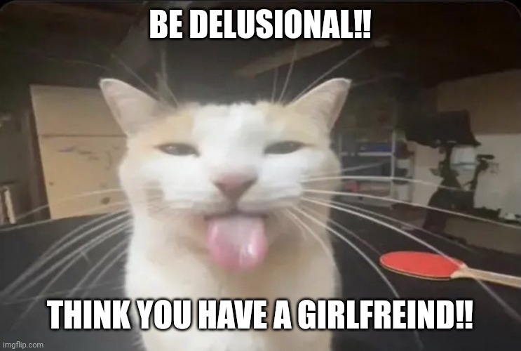 BLEHH cat | BE DELUSIONAL‼️ THINK YOU HAVE A GIRLFREIND‼️ | image tagged in blehh cat | made w/ Imgflip meme maker
