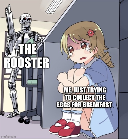 The rooster has come to terminate me for invading his coup | THE ROOSTER; ME, JUST TRYING TO COLLECT THE EGGS FOR BREAKFAST | image tagged in anime girl hiding from terminator | made w/ Imgflip meme maker