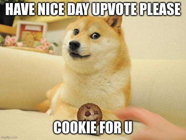 cookie for u | HAVE NICE DAY UPVOTE PLEASE; COOKIE FOR U | image tagged in memes,doge 2 | made w/ Imgflip meme maker