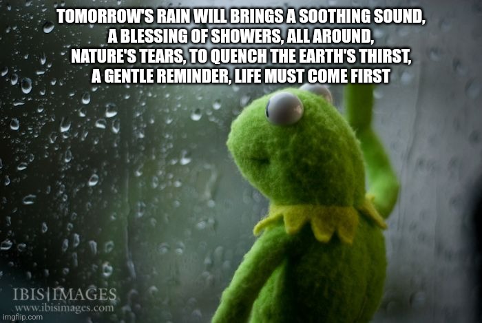 kermit window | TOMORROW'S RAIN WILL BRINGS A SOOTHING SOUND,
A BLESSING OF SHOWERS, ALL AROUND,
NATURE'S TEARS, TO QUENCH THE EARTH'S THIRST,
A GENTLE REMINDER, LIFE MUST COME FIRST | image tagged in kermit window | made w/ Imgflip meme maker