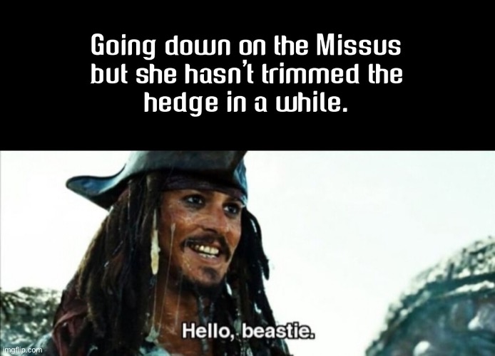 image tagged in pirates of the carribean,memes,funny | made w/ Imgflip meme maker