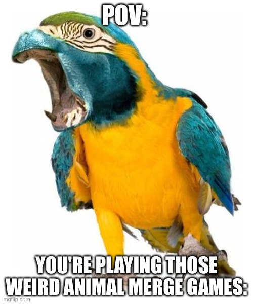 weird and stupid | POV:; YOU'RE PLAYING THOSE WEIRD ANIMAL MERGE GAMES: | image tagged in overreacting parrotpotomas | made w/ Imgflip meme maker