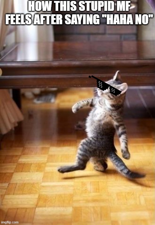 Cool Cat Stroll Meme | HOW THIS STUPID MF FEELS AFTER SAYING "HAHA NO" | image tagged in memes,cool cat stroll | made w/ Imgflip meme maker