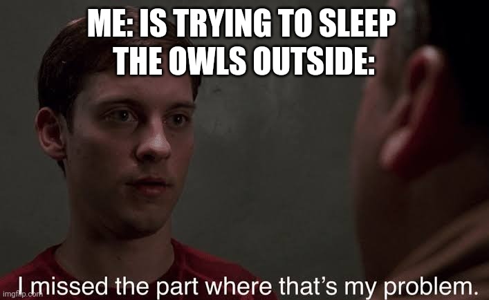 I missed the part | THE OWLS OUTSIDE:; ME: IS TRYING TO SLEEP | image tagged in i missed the part | made w/ Imgflip meme maker